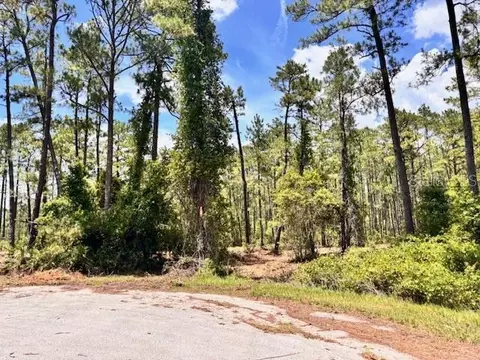 Chinaberry Way, Eustis, FL 32736 photo 2