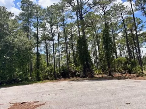 Chinaberry Way, Eustis, FL 32736 photo 4