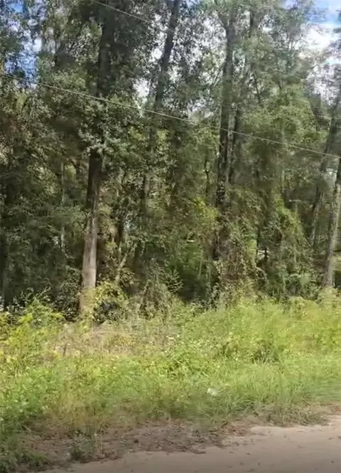 Sw 137 Ave, Dunnellon, FL 34432