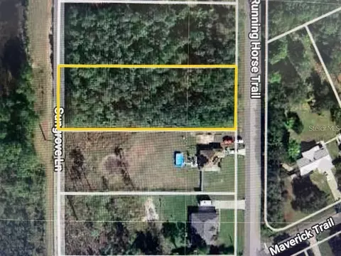 Running Horse Trail, Saint Cloud, FL 34771