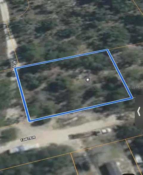 0 NE 134 Ter, Williston, FL 32696 photo 6