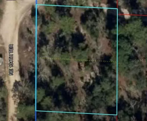 0 NE 134 Ter, Williston, FL 32696 photo 4