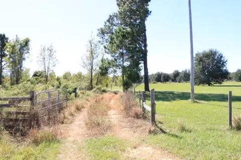 11307 Carter Island Rd, Groveland, FL 34736