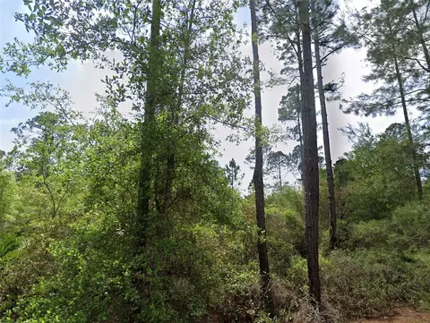 126 128 Grandale St, Georgetown, FL 32139