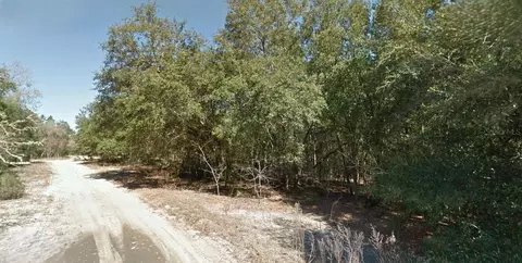 202 Cedar Trl, Interlachen, FL 32148 photo 3