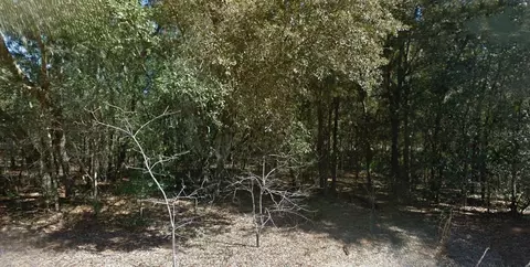 202 Cedar Trl, Interlachen, FL 32148