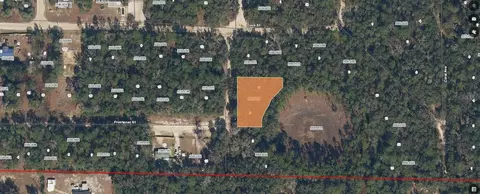 202 Cedar Trl, Interlachen, FL 32148 photo 4