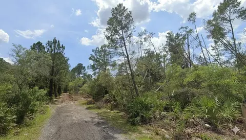 Aster Terrace, Deland, FL 32724