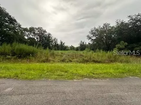 207 Starling Ct, Poinciana, FL 34759