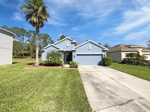 3263 Plumlee Ct, Grand Island, FL 32735