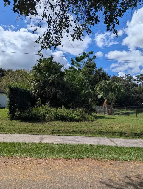 Holly Street, Mount Dora, FL 32757