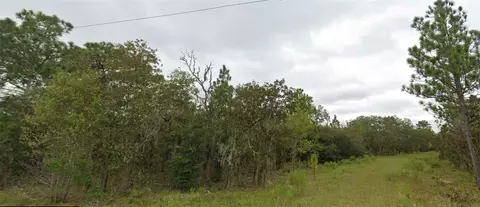 NE 151 Terrace, Williston, FL 32696