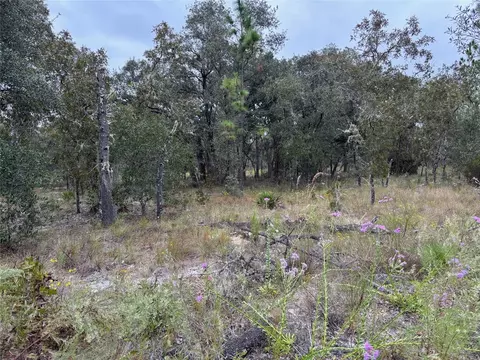 SE 63rd Lane, Morriston, FL 32668