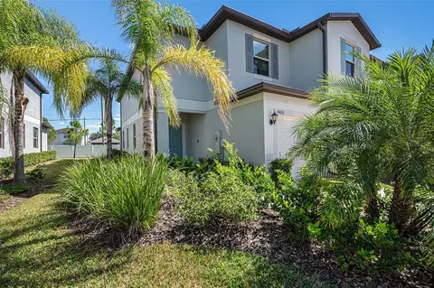 4435 Globe Thistle Dr, Tampa, FL 33619