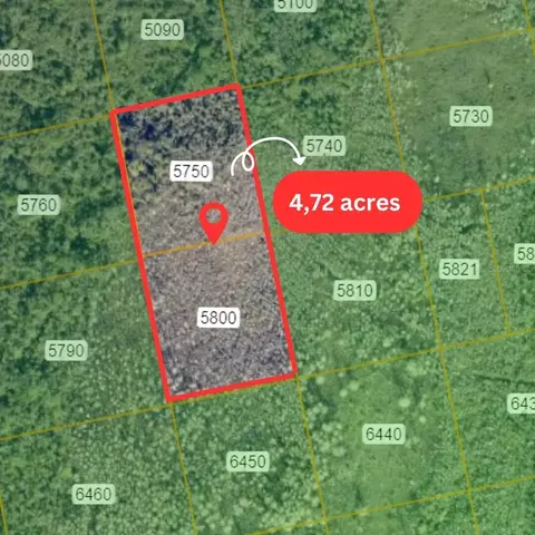 0 State Hwy 9, Oak Hill, FL 32759