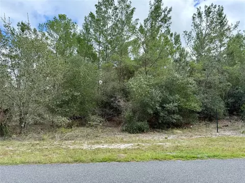 Jericho Trail, Eustis, FL 32736