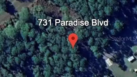 731 Paradise Blvd, Georgetown, FL 32139