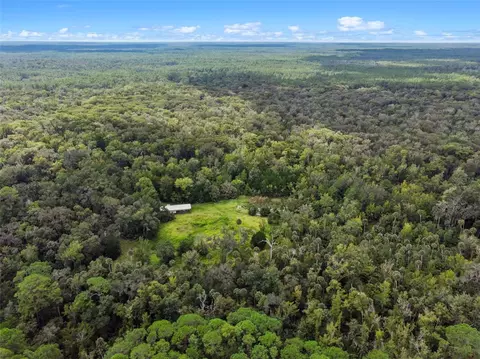 Nfs 73 / Alco Road, Astor, FL 32102
