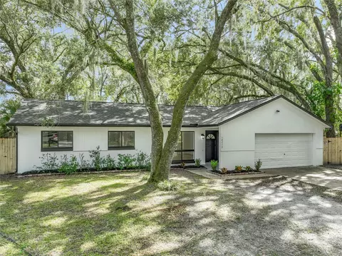10217 Belgrove Pl, Orlando, FL 32817