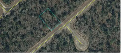 Durham Drive, Chipley, FL 32428 photo 3