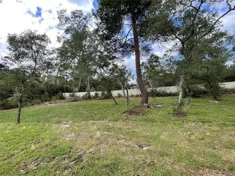 Exterior - 41719 Aspen Dr, Eustis, FL 32736 photo 7 of 12