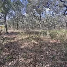 7377 Knoxville Dr, Webster, FL 33597