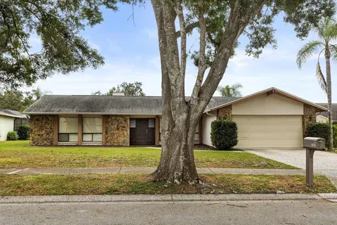 1561 Mac Charles Ct, Dunedin, FL 34698