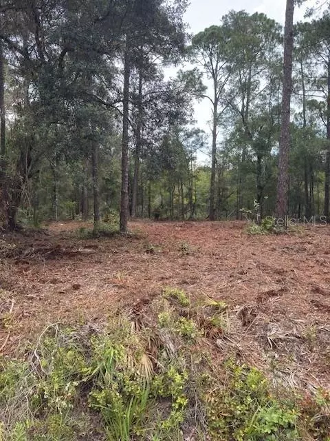 9251 N Evenstock Way, Crystal River, FL 34428