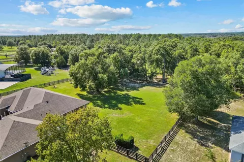 View/Area - 35603 Seneca Reserve Dr, Eustis, FL 32736 photo 2 of 14