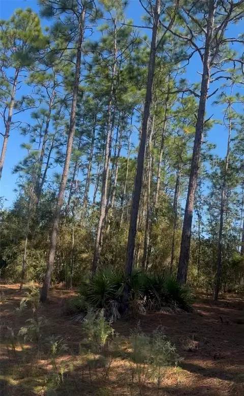 SW 128th Terrace Road, Ocala, FL 34481