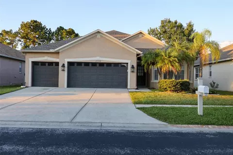 31203 Anniston Dr, Wesley Chapel, FL 33543