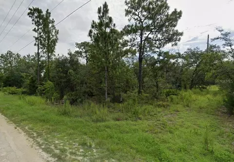 Goldfinch Road, Weeki Wachee, FL 34614
