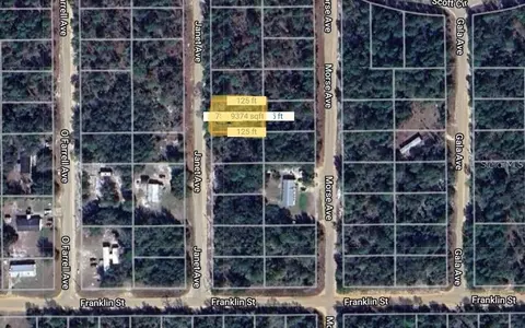 0 Janet Ave, Interlachen, FL 32148