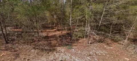 Se 5th Avenue, Interlachen, FL 32148