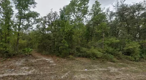 Highline Trail, Satsuma, FL 32189