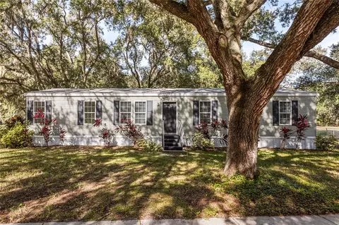 14233 Tassleflower Ct, Astatula, FL 34705