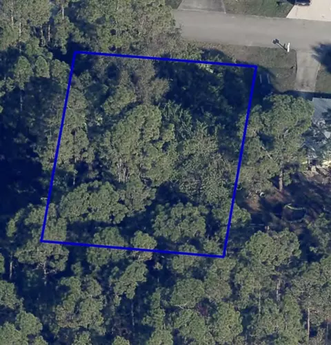 220 Cactus St SE, Palm Bay, FL 32909