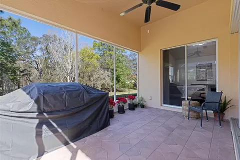 1203 W Diamond Shore Loop, Hernando, FL 34442 photo 21