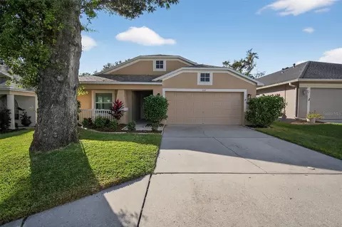 3519 Gray Whetstone St, Brandon, FL 33511