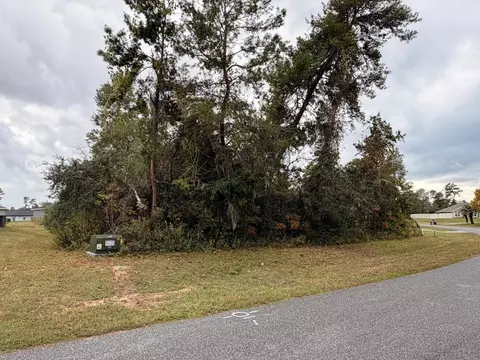 156 Th Ln, Ocala, FL 34473