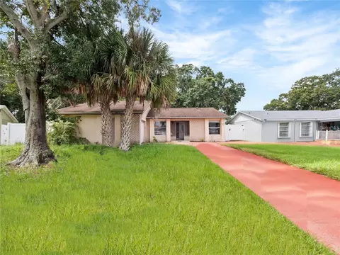 431 Ball Ct, Kissimmee, FL 34759