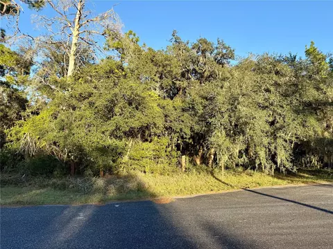 Flag Street, Eustis, FL 32736