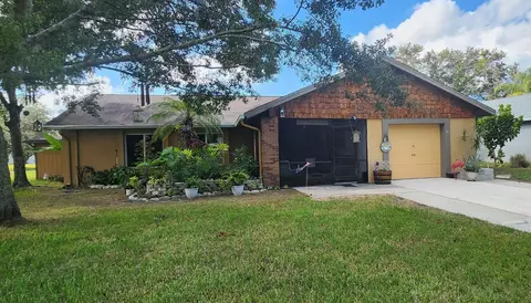 31 Chip Ct, Kissimmee, FL 34759