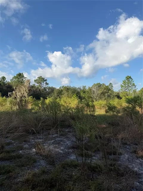 136 Dummonds Rd, Frostproof, FL 33843
