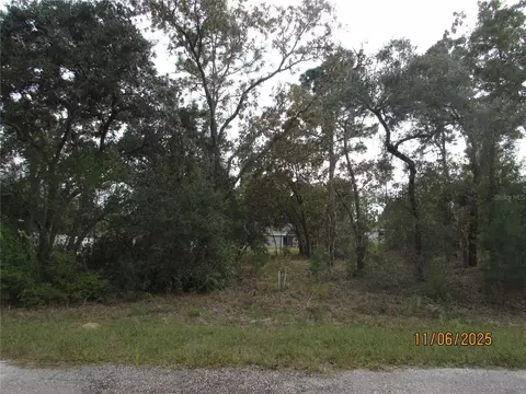3108 W Randolph Ln, Citrus Springs, FL 34433