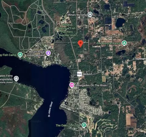175 Oak Run Rd, Crescent City, FL 32112