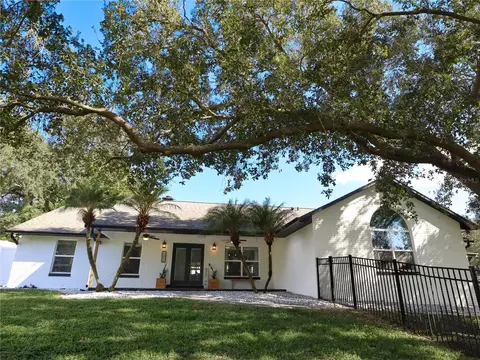 13021 Sunshine View Ct, Clermont, FL 34711