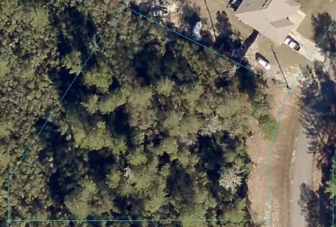 Marion Oak, Ocala, FL 34473 photo 4