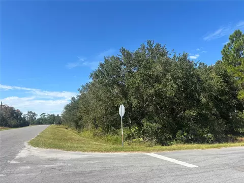 Coronet Avenue, Orlando, FL 32833