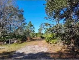 1448 Blease Ave, Orlando, FL 32833